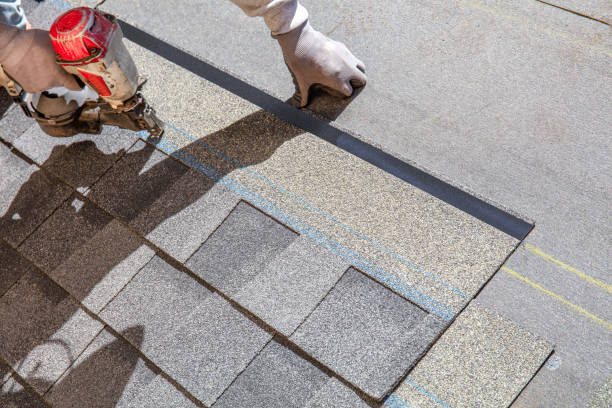 Best Green or Eco-Friendly Roofing Solutions  in Smyrna, DE